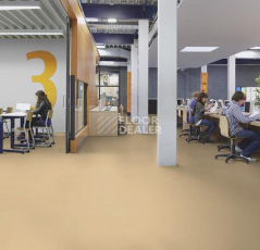 Forbo Marmoleum Decibel on Order 372635 venus фото 2 | FLOORDEALER